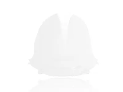 WRS - WINDSCREEN RACE PANIGALE 1299/ - 23120684