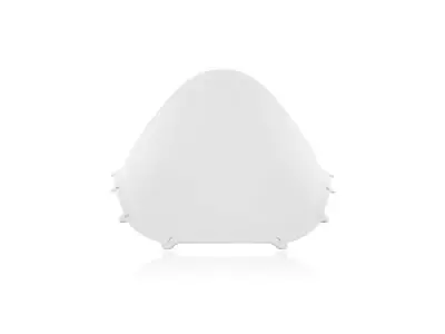 WRS - WINDSCREEN RACE DUC PANIGALE V - 23121263