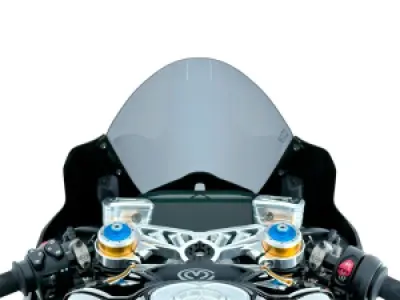 WRS - WINDSCREEN RACE DUC PANIGALE V - 23121264