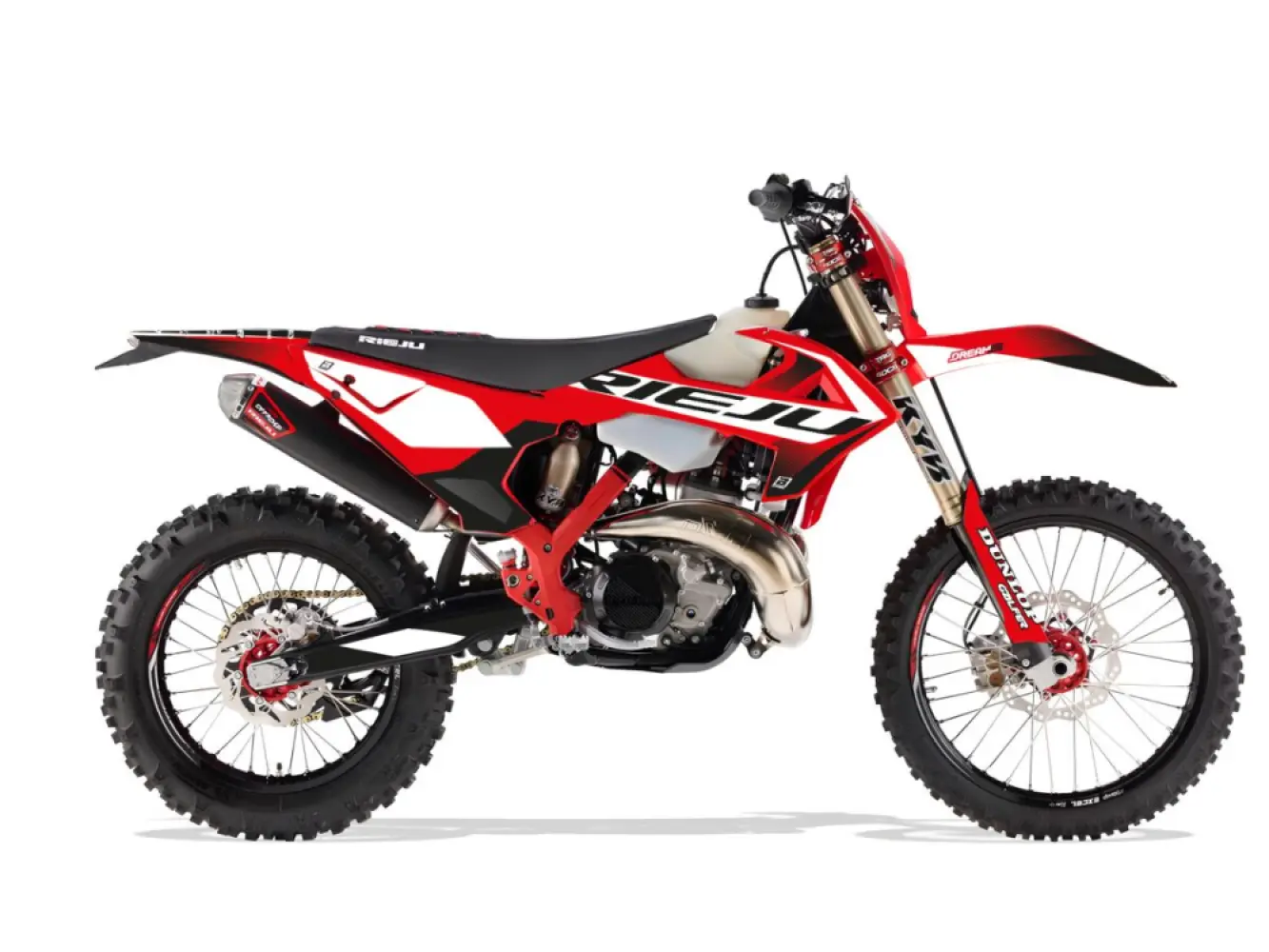 BLACKBIRD RACING - GRAPHIC KIT DREAM 5 RIEJU MR30 - 43027537