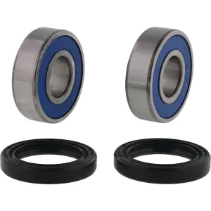 ALL BALLS - BEARING KIT WHEEL CF MOTO - 02151683