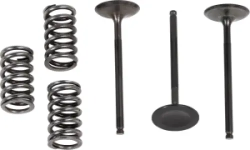 PROX - VALVE IN/SPRING KIT YZ/WR450F - 09261024