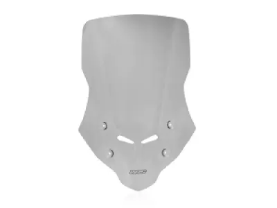 WRS - WINDSCREEN CAPONORD HORNET 750 - 23121570