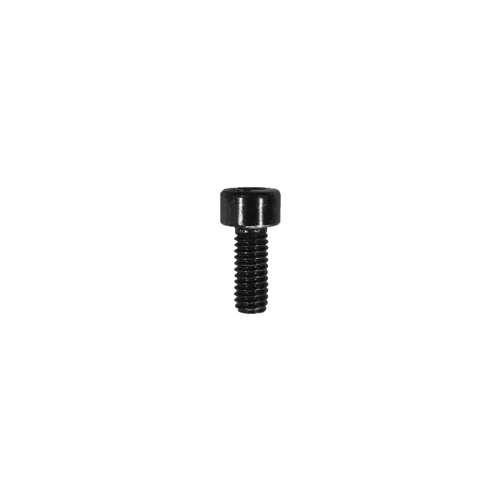 Nexx Spare Parts PEAK SCREW LONG X.WED3