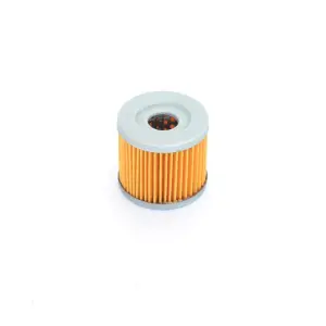 ATHENA - OIL FILTER SUZ - 07120181