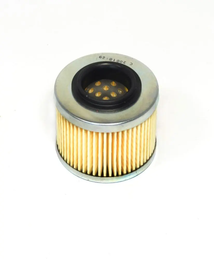 ATHENA - OIL FILTER APR/BMW/KTM - 07120195