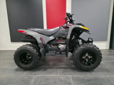 Polaris Pheonix 200