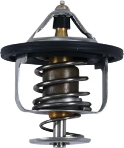 ALL BALLS - THERMOSTAT POLARIS - 19021707