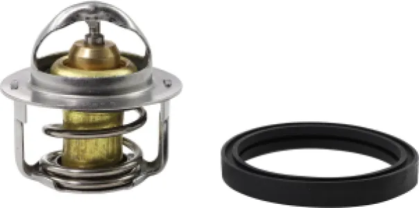 ALL BALLS - THERMOSTAT POLARIS - 19021705