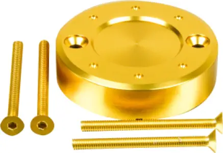 PRO BOLT - CAP FRONT BRAKE 54X13 GD - 06021185