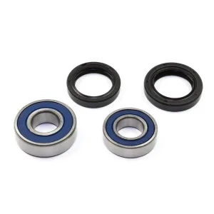 ALL BALLS - BRNG KT WHEEL RR HO - 02151148