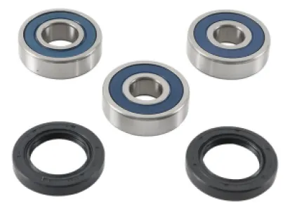 ALL BALLS - BRNG KT WHEEL RR HO - 02151152
