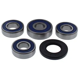 ALL BALLS - BRNG KT WHEEL RR YA - 02151158