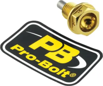 PRO BOLT - BOLT DRAIN 12X1.5X15 GOLD - 09200208