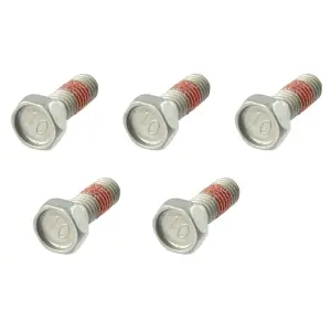 TRW - BOLT SET - 17310810