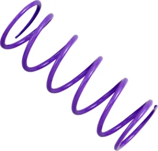 EPI - SPRING PRIMARY KAW-PURPLE - DRS17