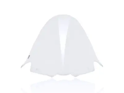 WRS - WINDSCREEN RACE ZX-10R CLEAR - 23120678