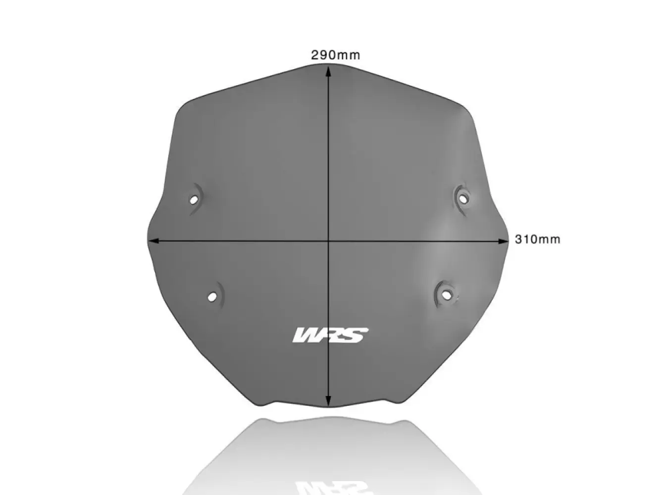 WRS - WINDSCREEN SPORT R1250R DARK S - 23120754