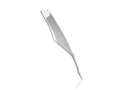 WRS - WINDSCREEN CAPONORD CRF1100L A - 23120793