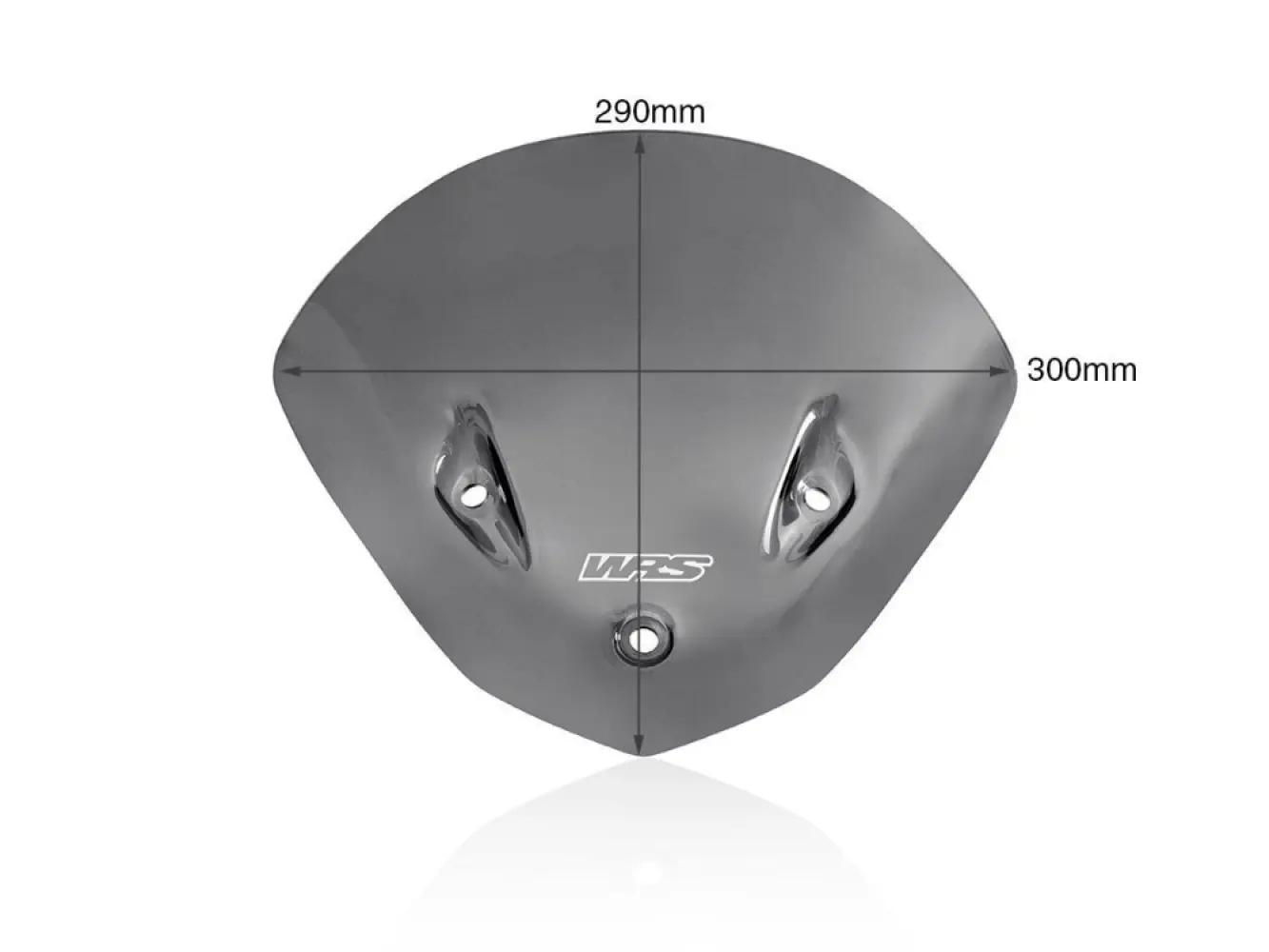 WRS - WINDSCREEN SPORT S1000R DARK S - 23120892