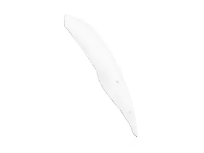 WRS - WINDSCREEN STANDARD R1250R CLE - 23121006