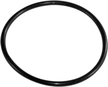 EPI - O-RING OUTER HUB - WE300470