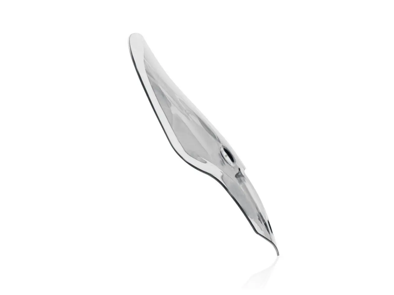 WRS - WINDSCREEN TOURING TIGER 1200  - 23121127