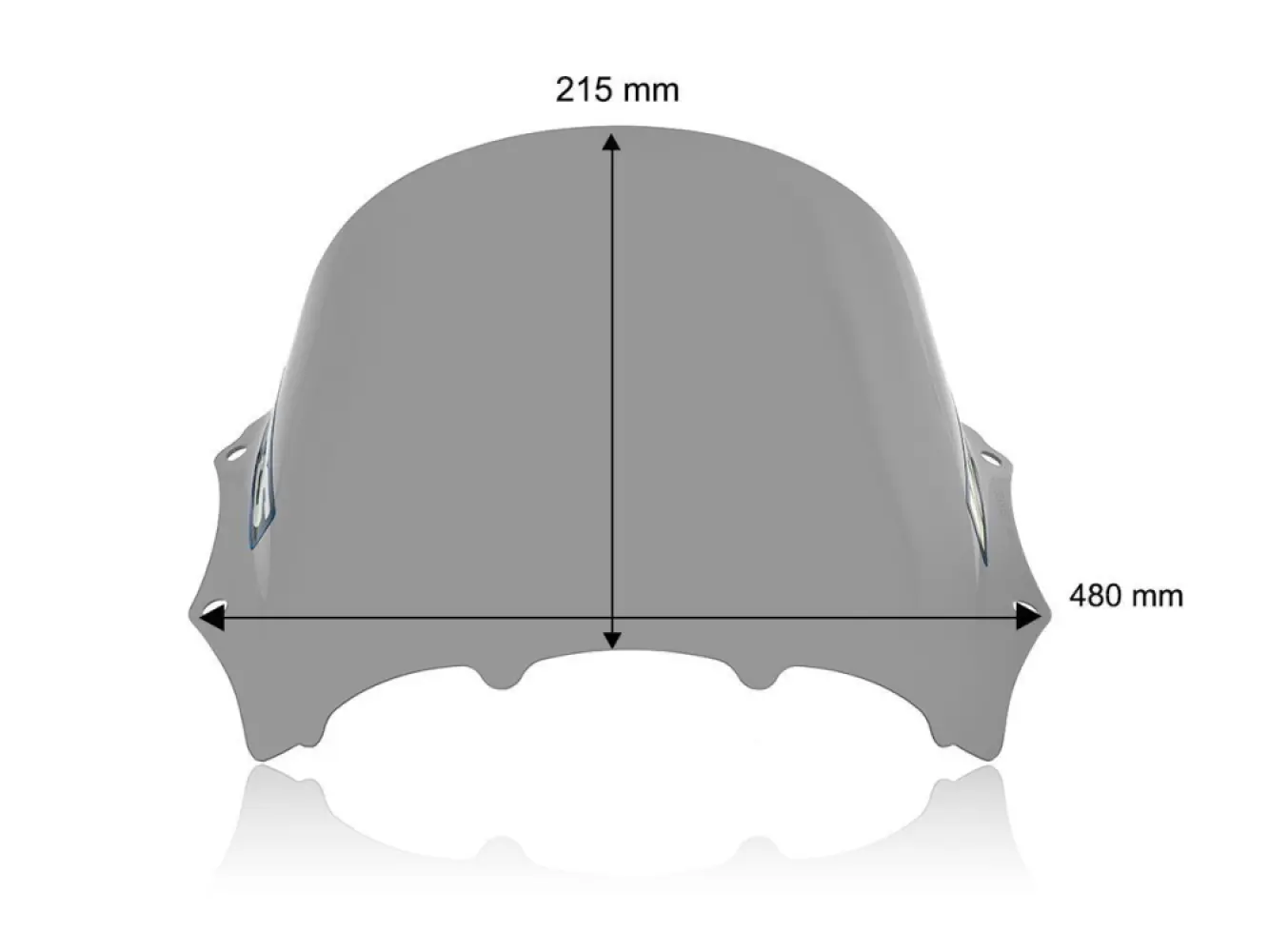 WRS - WINDSCREEN RACE M1000RR SMOKE - 23121223