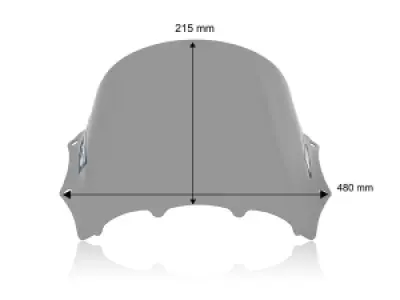 WRS - WINDSCREEN RACE M1000RR SMOKE - 23121223