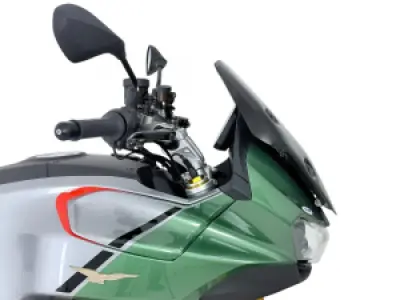 WRS - WINDSCREEN TOURING V100 MANDEL - 23121397