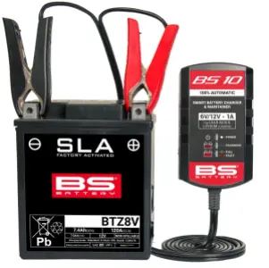 BS BATTERY - CHARGER BS10 6V/12V-1A - 38070464