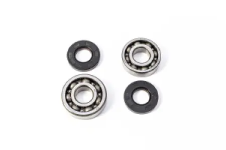 PROX - CRANK BEARING SEAL KIT - 09240681