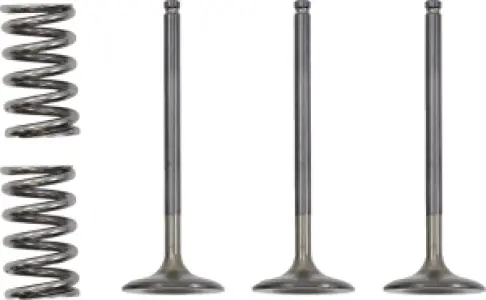 PROX - VALVE IN/SPRING KIT YZ/WR450F - 09261024