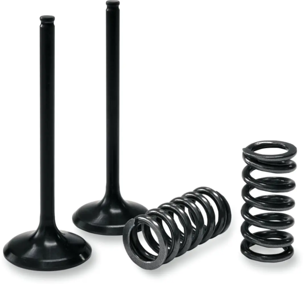 PROX - VALVE IN/SPRING KIT LT-R450 - 09261433