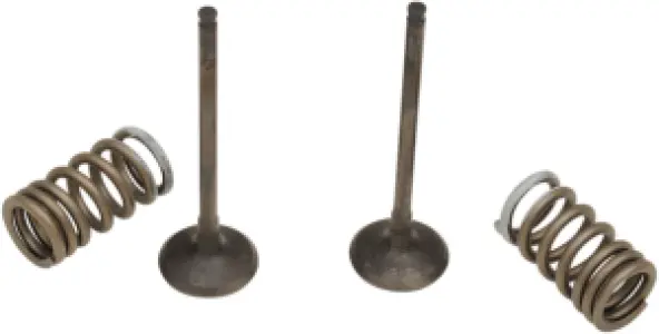 PROX - VALVE EX/SPRING KIT RM-Z250 - 09261456