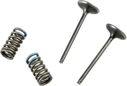 PROX - VALVE IN/SPRING KIT CRF250R - 09261459