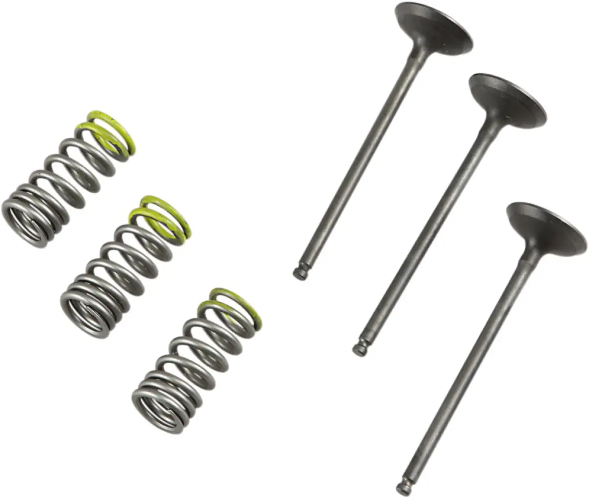 PROX - VALVE IN/SPRING KIT YZ/WR250F - 09261460