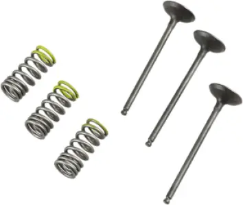PROX - VALVE IN/SPRING KIT YZ/WR250F - 09261460