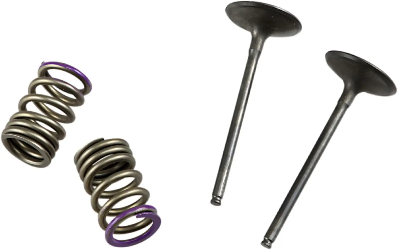 PROX - VALVE IN/SPRING KIT KX250F - 09261463
