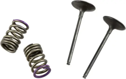 PROX - VALVE IN/SPRING KIT KX250F - 09261463