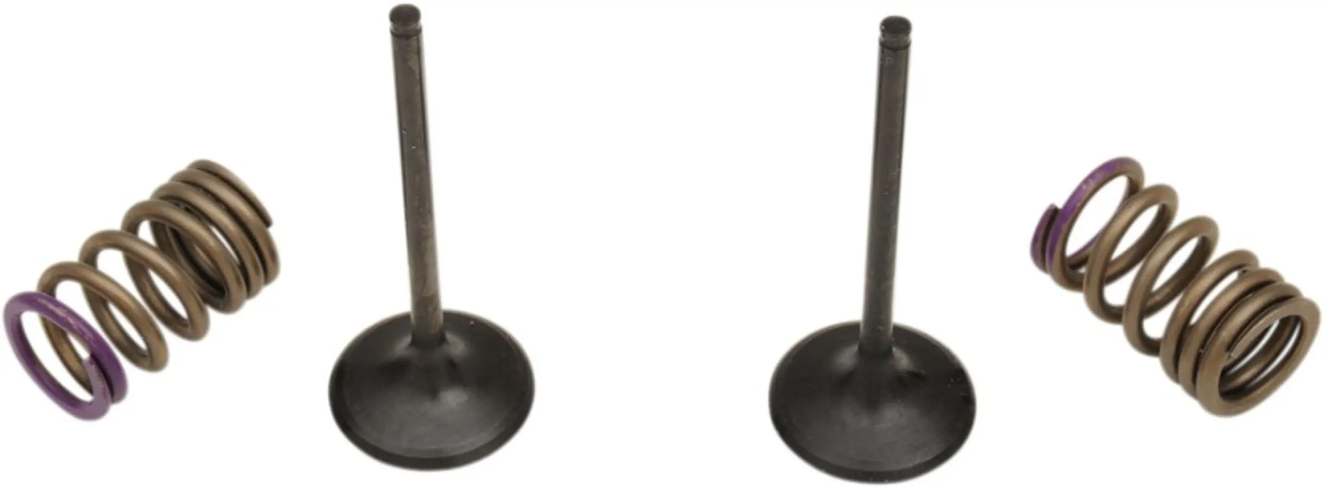 PROX - VALVE IN/SPRING KIT KX250F - 09261464