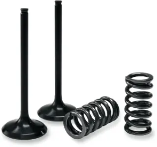PROX - EXHAUST VALVE/SPRING KIT - 09262725