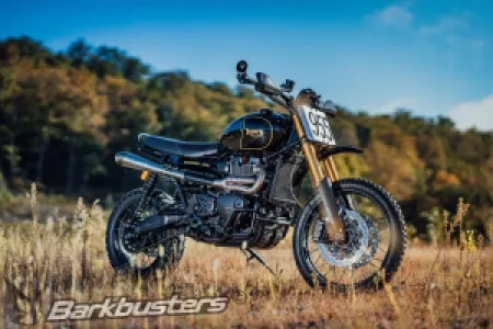 BARKBUSTERS - HANDGUARD CARBON - 06352242