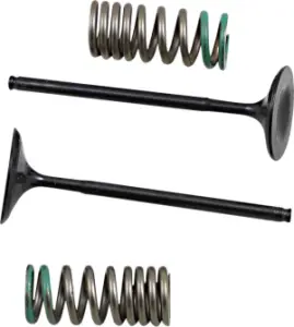 PROX - INTAKE VALVE/SPRING KIT - 09262892
