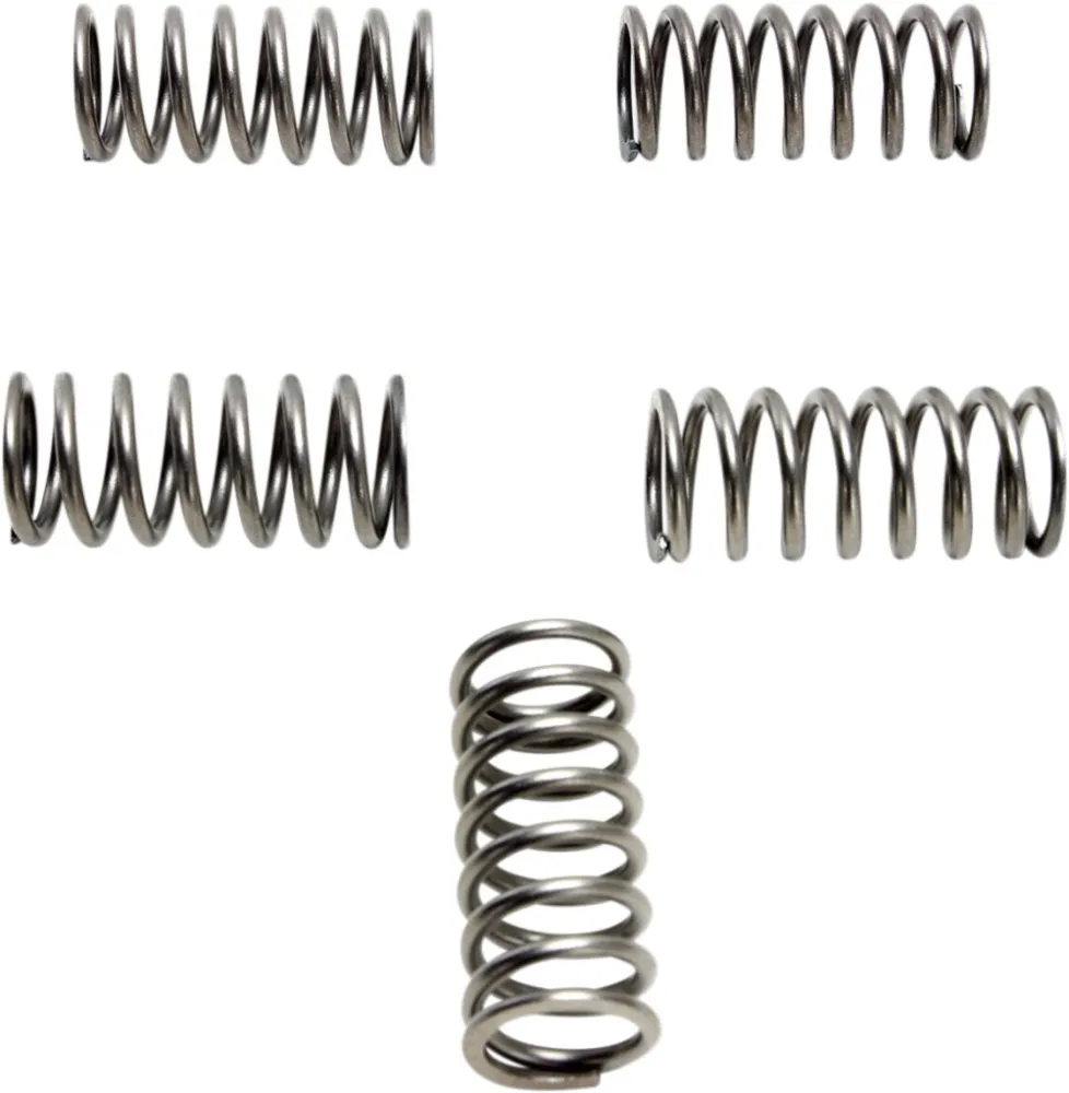 EBC - CLUTCH SPRING SET (3 PCS) - 11312673