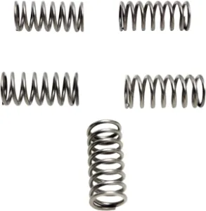 EBC - CLUTCH SPRING SET (3 PCS) - 11312673
