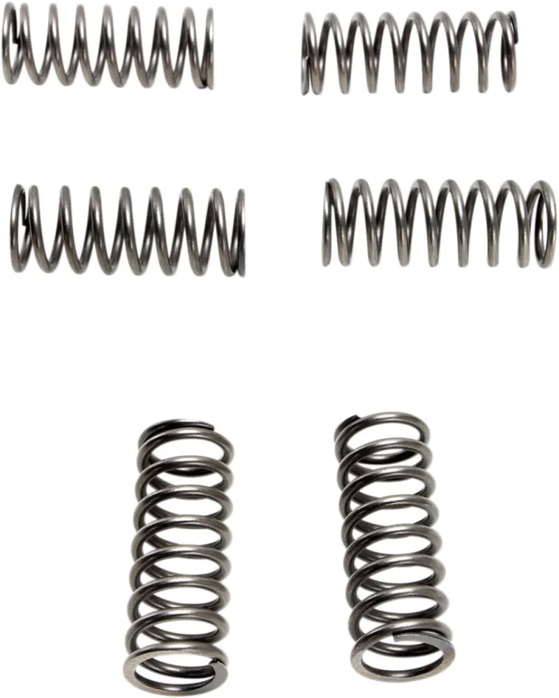 EBC - CLUTCH SPRING SET (6 PCS) - 11312740