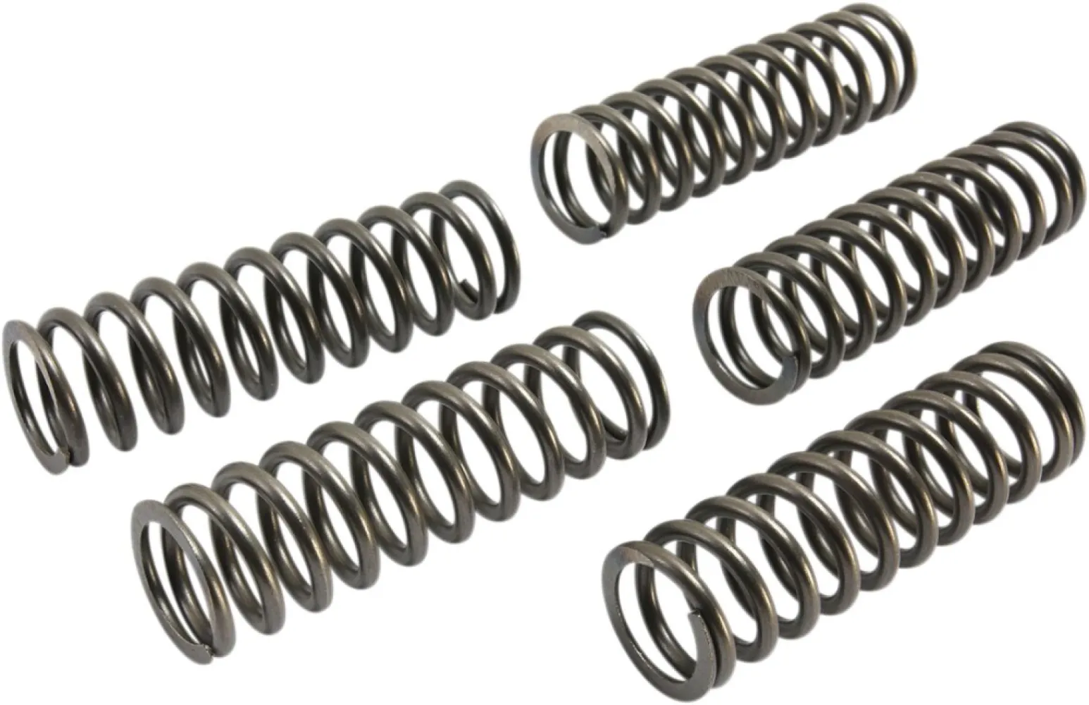 EBC - CLUTCH SPRING SET CSK - 11313117