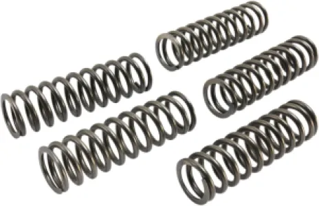 EBC - CLUTCH SPRING SET CSK - 11313117