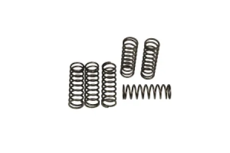 EBC - CLUTCH SPRING SET (6 PCS) - 11313423